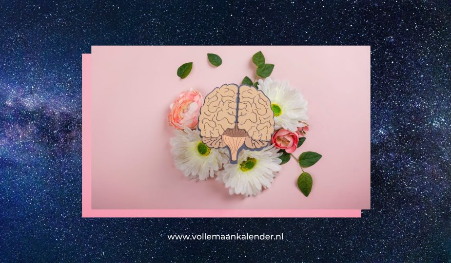 trauma intuitie