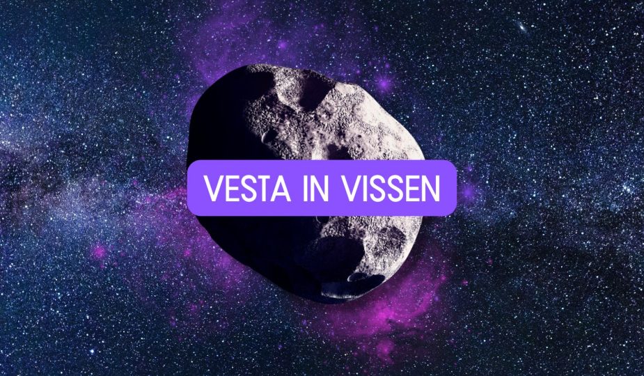 Vesta in Vissen 2026