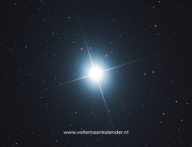 Regulus