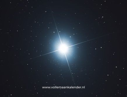 Regulus