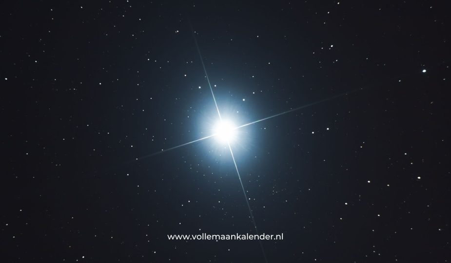 Regulus